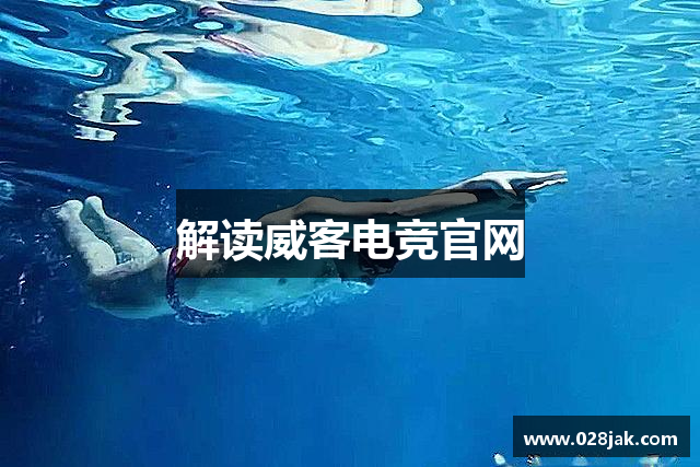 解读威客电竞官网